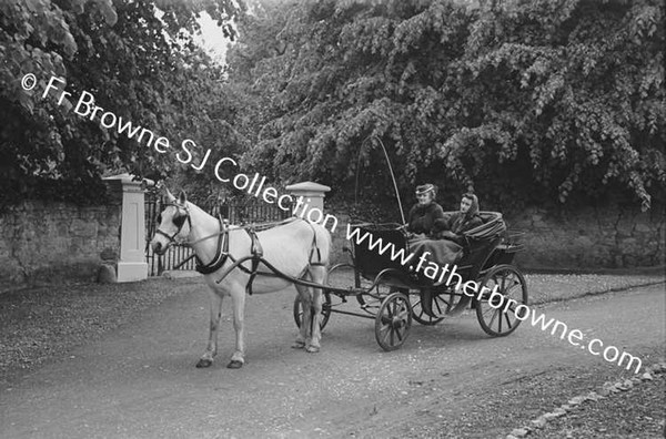 MRS FRANK LILLIS WITH MARY IN PHAETON